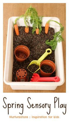 a white tray filled with dirt and carrots on top of a wooden table next to gardening