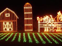 christmas lights in the shape of farm animals and barnyards are lit up at night