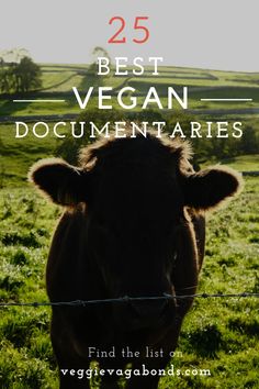 Vegan For The Animals, Free Documentaries Website, Documentaries Netflix Best, Best Documentaries On Amazon Prime, Vegan Lunch Box