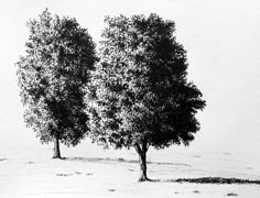 two trees are standing in the middle of a field