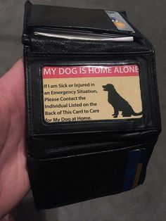 someone is holding their dog's id card wallet