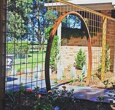 an outdoor area with a fence and plants