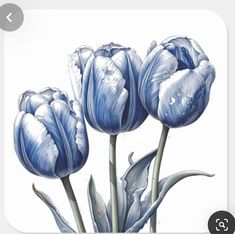 two blue flowers are shown on the app store's website page, which features an image of three tulips