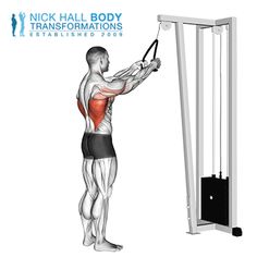 an image of a man doing pull ups on the body - solid machine with text that reads nick hall body