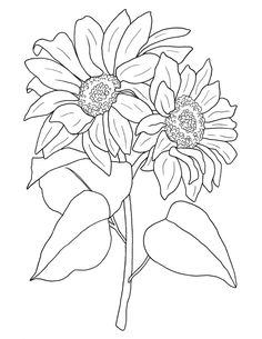 a drawing of two flowers with leaves