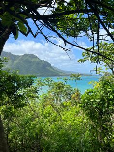 the ocean is surrounded by lush vegetation and blue water in the distance, with mountains in the background