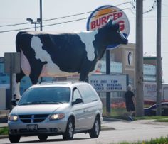 a white van driving past a large cow statue on the side of a road in front of a burger king sign