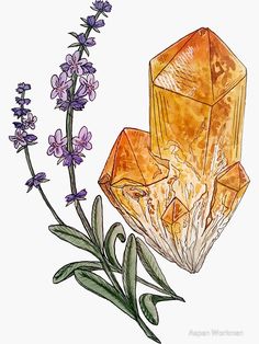 an image of some crystals and flowers on a white background with watercolor pencils