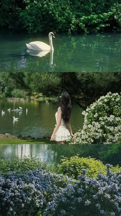 a woman sitting in front of a lake next to a white swan floating on top of it