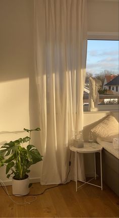 a living room with a couch, table and potted plant in front of the window