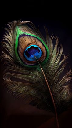 a close up of a peacock feather on a black background