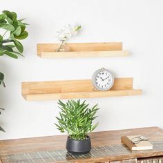 two wooden shelves with plants and a clock on them