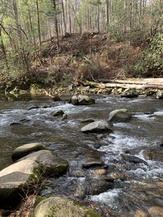 a river running through a forest filled with rocks