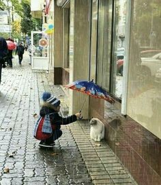 a small child is petting a dog under an umbrella on the side walk in front of a store