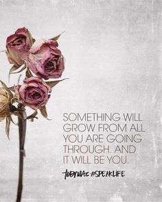 some pink roses are in a vase with the words, something will grow from all you are going through and it will be you