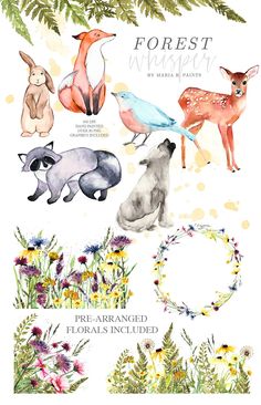 watercolor illustrations of animals and plants with the words forest nursery written on them