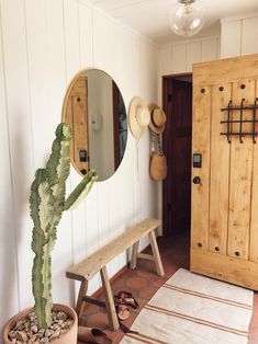 a cactus in a pot next to a wooden bench and mirror on the wall,