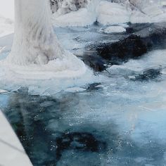 the water is frozen and there are trees in the background