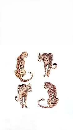 three cheetah decals on a white background, one in the foreground and one in the back ground