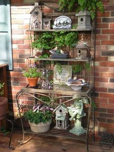 a shelf filled with lots of plants next to a brick wall and potted plants