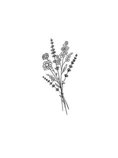 a black and white drawing of some flowers