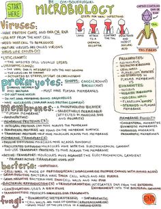 a poster with instructions on how to use microbiotics