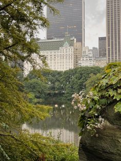 the city skyline is reflected in the water