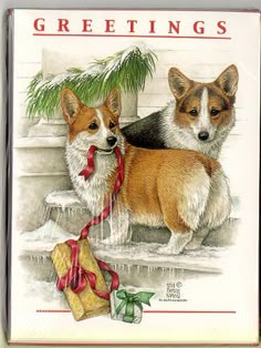 two corgis standing next to each other with presents in front of them and the words greetings written below