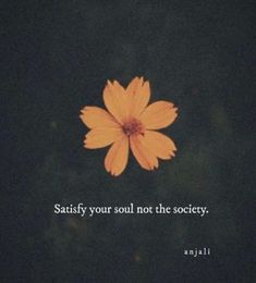 an orange flower with the words satisfy your soul not the society