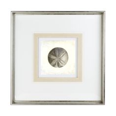 a sand dollar in a silver frame on a white wall