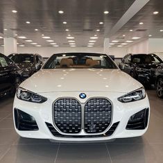 the front end of a white car in a showroom with other cars behind it