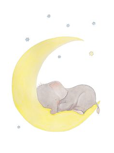 an elephant is sleeping on the moon