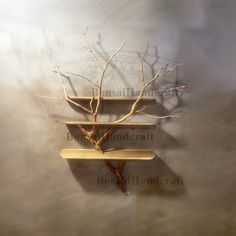 three wooden shelves with branches on them against a wall