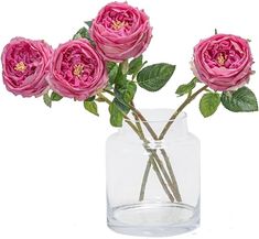 Amazon.com: DUYONE Fake Flowers for Decoration Home Decor Real Touch Artificial Flowers Austin Rose Peony Latex Fake Flower Living Room Decoration Vivid Pink Roses Peonies (Rose red 4pcs) : Home & Kitchen Peony Rose, David Austin Roses