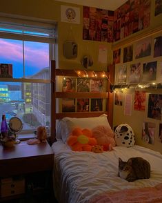 a cat laying on top of a bed next to a window with pictures hanging above it