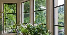 a kitchen sink sitting under three windows next to a window sill filled with plants