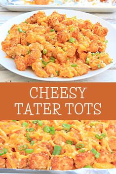 cheesy tater tots on a white plate