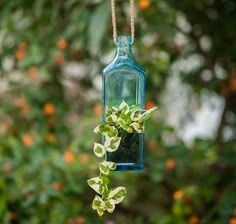 a bird feeder hanging from a tree filled with green leaves and small plants in it