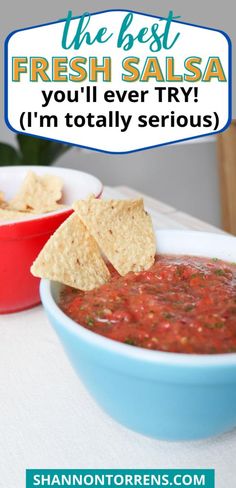 the best fresh salsa you'll ever try i'm totally serious