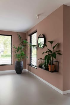 a living room with two plants on the wall and three windows in the back ground