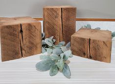 three wooden blocks sitting next to each other on a white surface with eucalyptus leaves in front of them