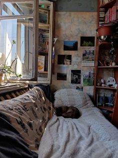 a cat sleeping on top of a bed next to a window