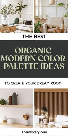 the best organic modern color palettes to create your dream room