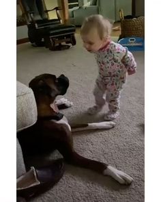 a baby standing next to a dog on the floor