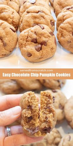 Everything you love about this classic and iconic cookie, but with a little hidden veggie and fall flavors. Our Easy Chocolate Chip Pumpkin Cookies are thick, soft, chewy, sweet cookies perfect for the holidays! Pumpkin Cookies Chocolate Chip, Pumpkin Peanut Butter Cookies, Pumpkin White Chocolate Chip Cookies, Easy Pumpkin Cookies, Seasonal Cookies, Cookies With Pumpkin, Chocolate Chip Pumpkin Cookies, Pumpkin White Chocolate, Mouthwatering Desserts