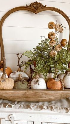 a wooden shelf filled with lots of different types of pumpkins and greenery on top of a white mantle