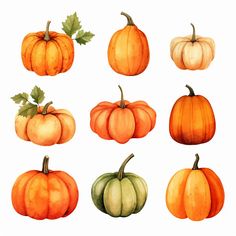 watercolor pumpkins with green leaves and orange ones on the top, all in different colors