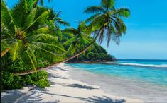 the beach is surrounded by palm trees and blue water