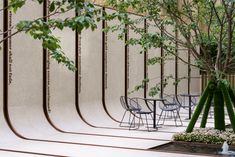 tables and chairs are lined up in front of a wall that has trees growing out of it