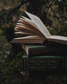 an open book sitting on top of a moss covered forest floor next to a tree